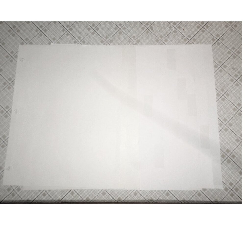 10 matte dividers Essay-covers Scrapbook-pages Extra-thick 3-hole White pages
